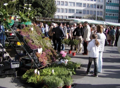 Gli ambulanti portano 
in centro la primavera. 
Nel fine settimana 
bancarelle 
sul Sentierone  