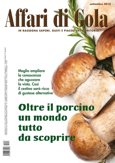 Funghi,
Affari di Gola
fa scoprire
le bontà “snobbate”
del bosco