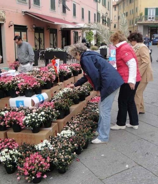fiori vendita benefica