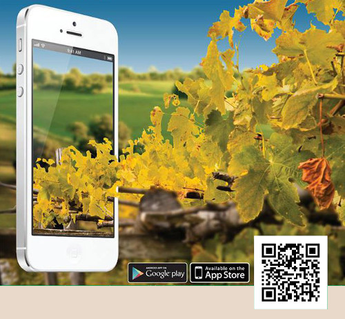 Lombardia, un’app fa da guida sulle 12 Strade del Vino