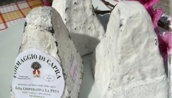 Formaggi di Capra, premiata la “Piramide” della Peta