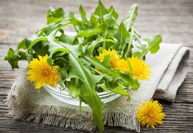 Ente Mutuo, webinar con il pediatra sulle allergie respiratorie nei bambini