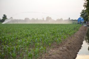 autopompa irrigazione a pioggia