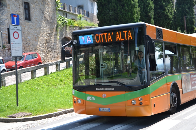 Elementari in gita gratis sugli autobus di Bergamo