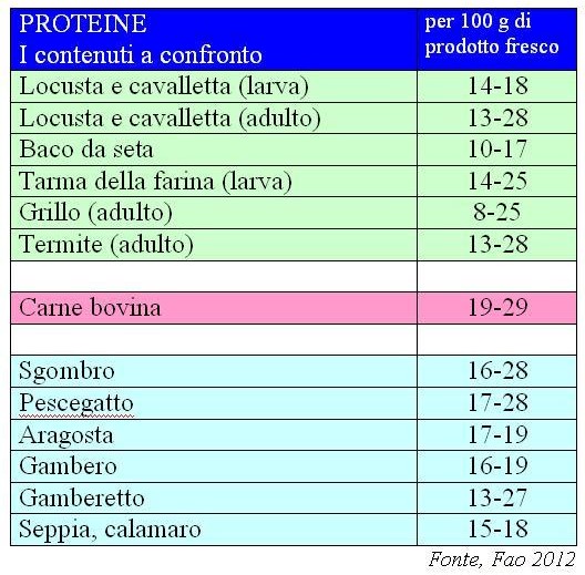 tabella insetti - proteine