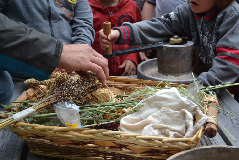 Erbe di montagna e formaggi tipici, in Val Brembana nove giorni a tutto gusto