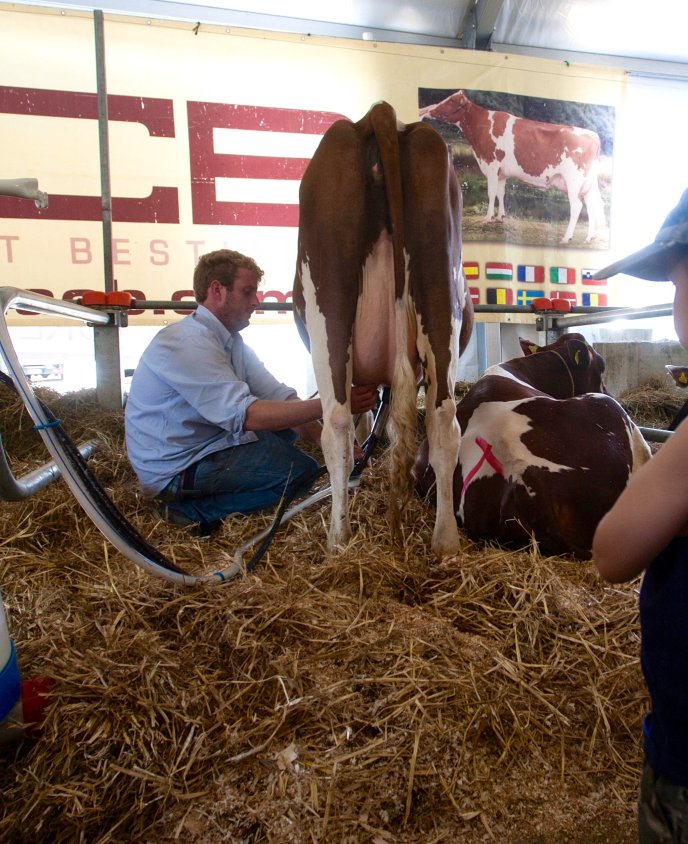 Martina: “Agricoltura in una fase delicata. Più sostegno ai giovani”