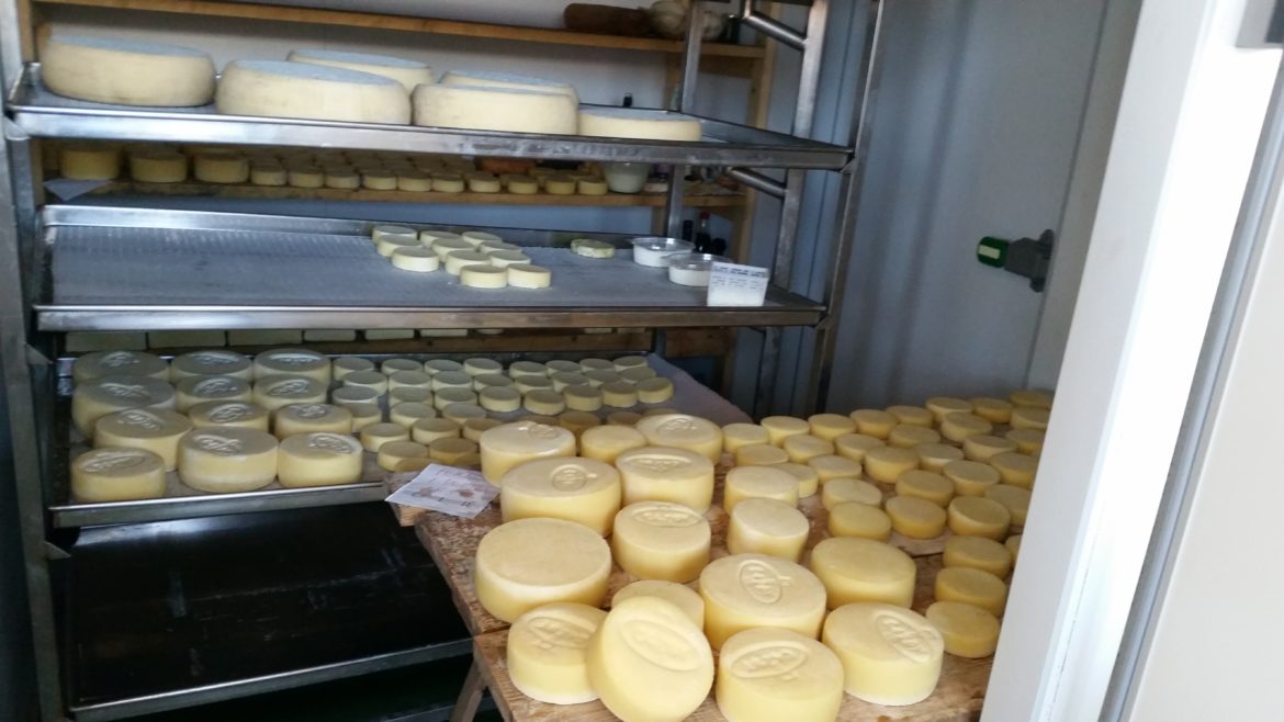 I formaggi che nascono in città