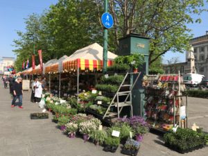 Festa di Primavera 2017 - Bergamo Sentierone