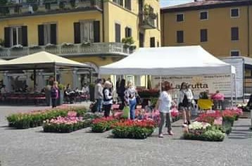 Il 25 aprile c’è “Lovere in fiore”, il Comune invita residenti e commercianti a colorare il borgo