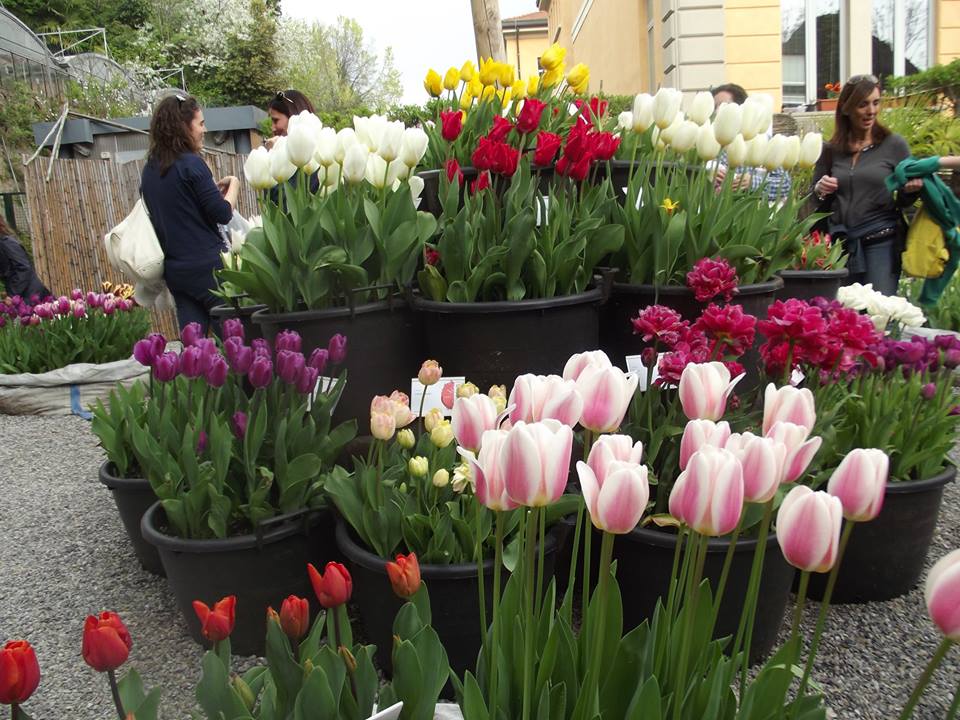 Gorle si veste di petali per Floreka