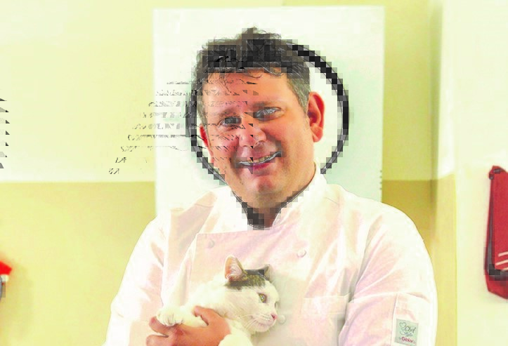 Cucina da gatti… ricette da vero gourmet