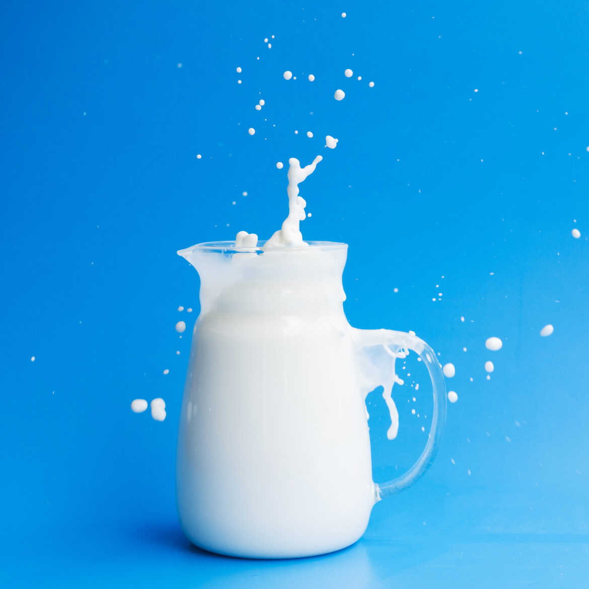 Polenta e latte, il nuovo gusto di gelato per la capitale della cultura 2023