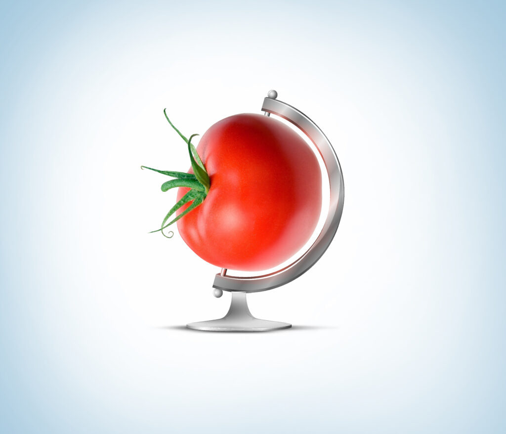 Un mondo di pomodori 